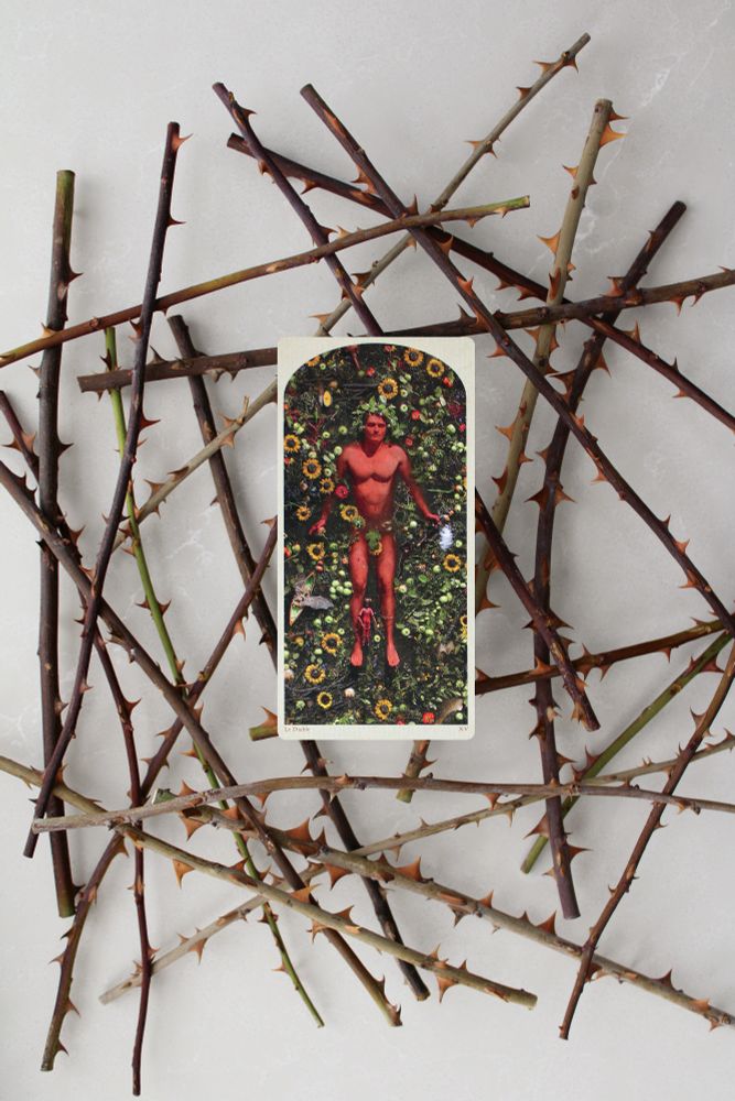 A tarot card titled "Le Diable" (The Devil) from *Tarot of the Drowning World* is placed on a bed of intersecting thorny rose stems. The card features a nude figure lying among lush greenery and sunflowers, with vivid red and black tones. The background is a neutral stone surface, contrasting with the dark, sharp thorns surrounding the card.
