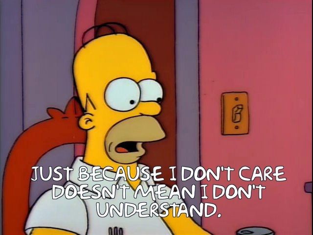 Simpsons screenshot. Homer sitting and talking 

Text reads: "Just because I don't care doesn't mean I don't understand."