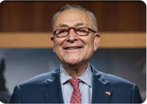 Photo of Sen Chuck Schumer