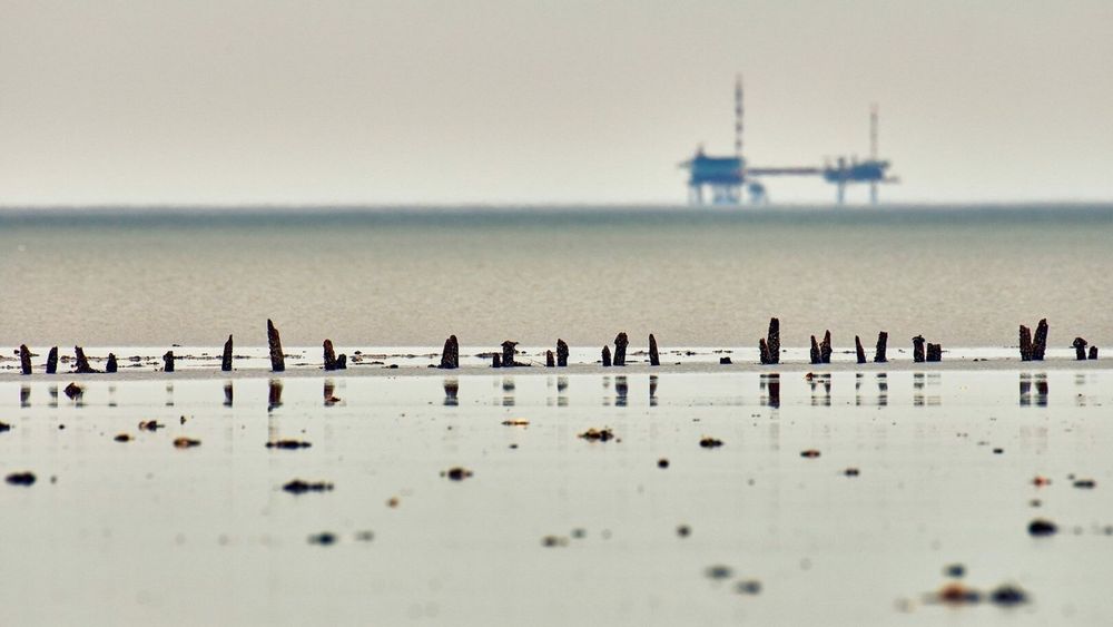 Gaswinning by It Amelân hat wól gefolgen foar natuer, warskôgje wittenskippers