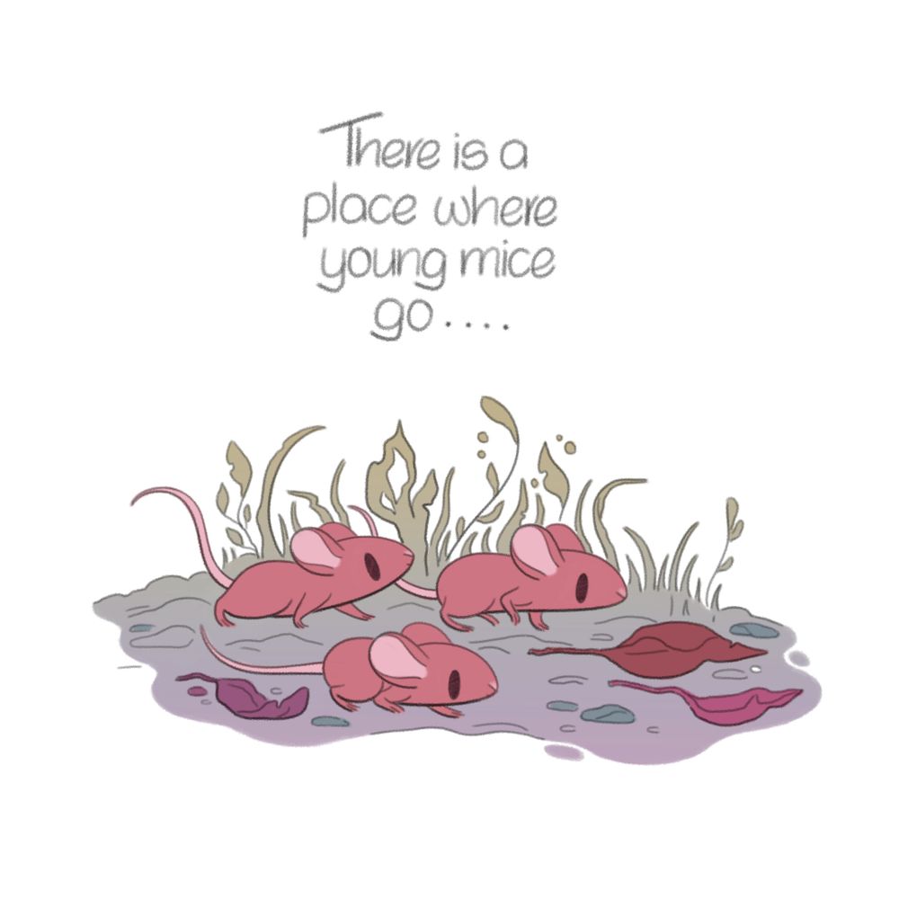 there is a place where Young mice go..