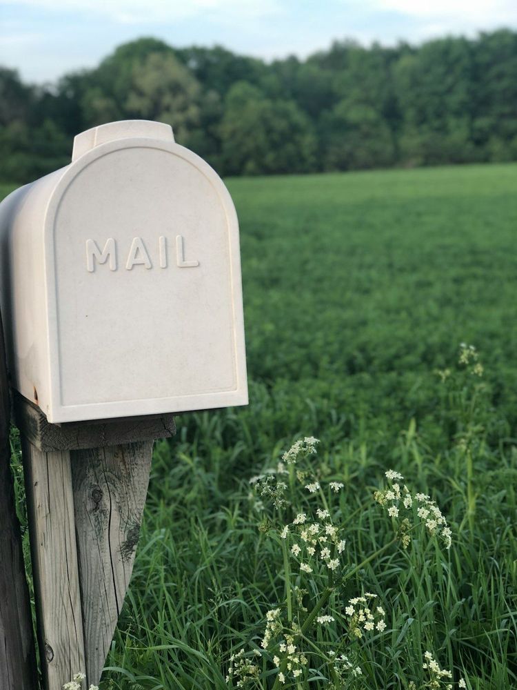 A white mailbox on a wooden post next to a green field with the background and white flowers in the forground