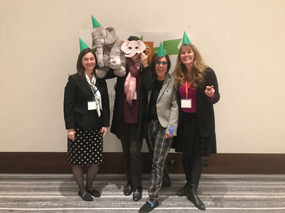 Group of HathiTrust members and stuffed elephant in green party hats.
