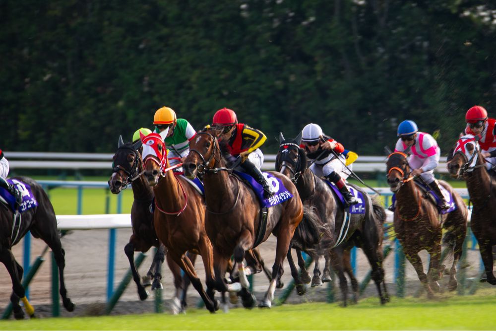 23秋華賞 リバティアイランド