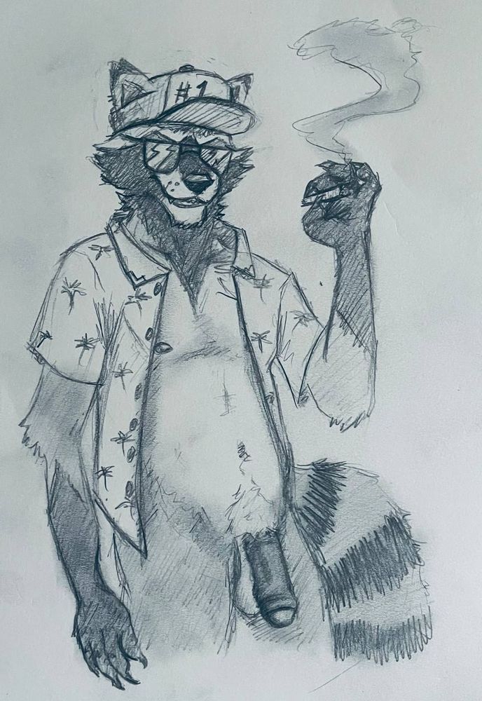 Doc McRascal (anthro raccoon in a Hawaiian shirt) smoking a blunt with his pecker hanging out.  NSFW