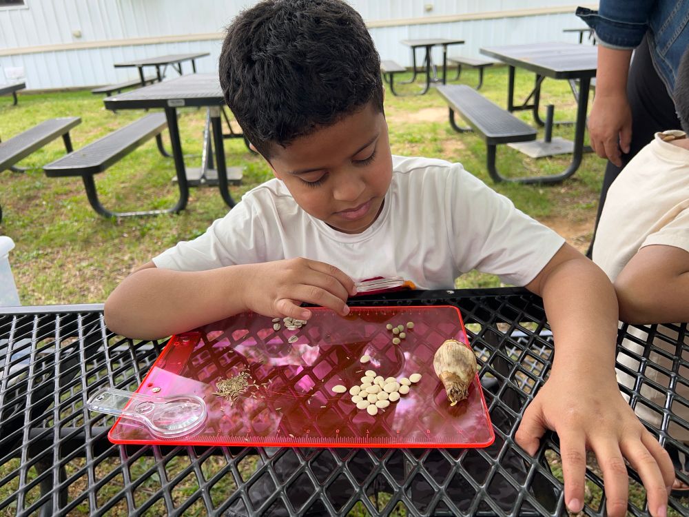 Boy uses a magnifying lens to study seeds on a tray