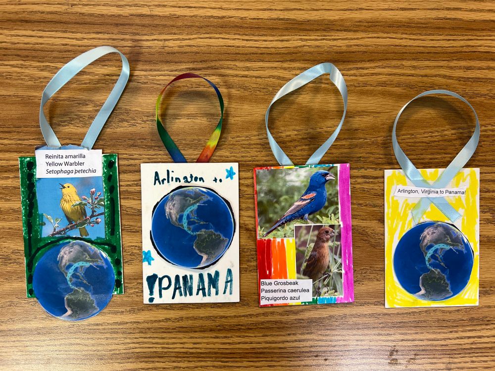 ornaments students made for students in Panama as part of the Smithsonian migratory bird project, “Bridging the Americas“