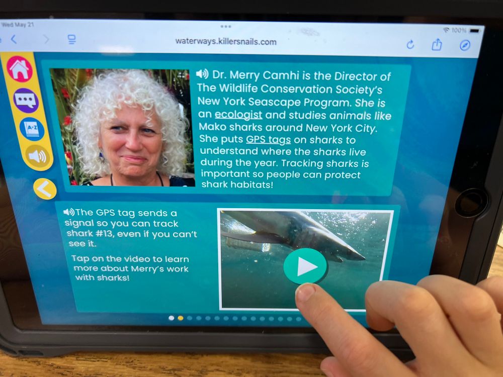 Listen to learn about the scientist and watch video of GPS tag for shark