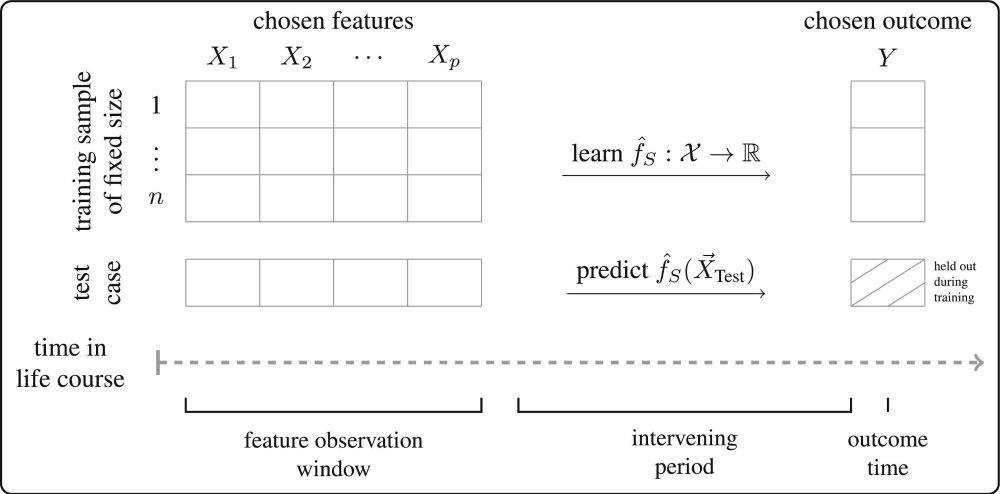 The origins of unpredictability in life outcome prediction tasks | Proceedings of the National Academy of Sciences