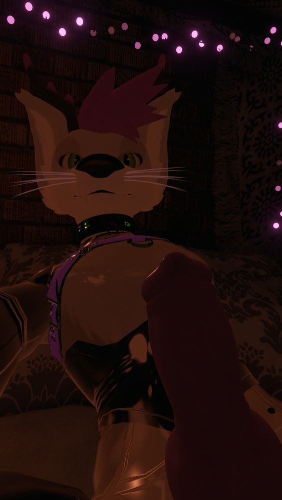 A low-light VRC photo of a silver-fox vulper with purple hair lounging back showing a shock collar, purple bulldog harness, and various pieces of latex with a knotted cock in the foreground.