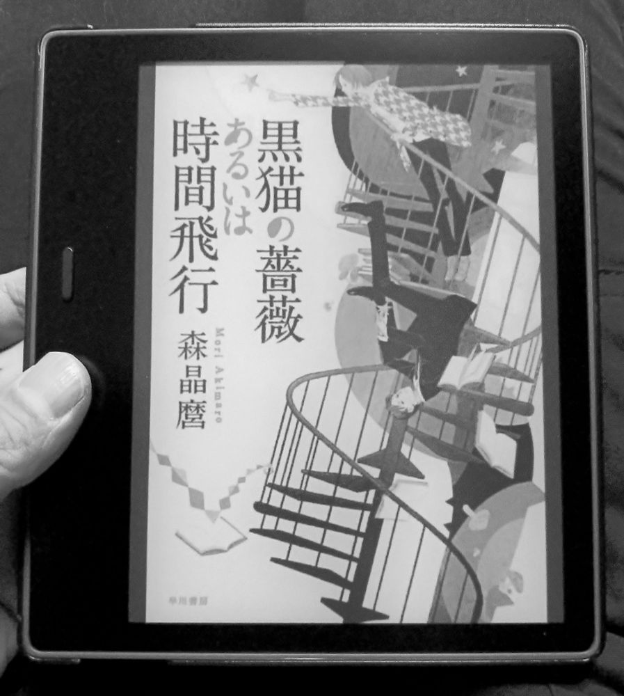 読み進めるほどに、詩の奥行きが埜枝の小説を通してがらんどうの心に染み入る。本を閉じた後も、まだ味わいつくしていない気がして、自然とページのはじめに戻って繰り返し読むことになった。

— 森晶麿著『黒猫の薔薇あるいは時間飛行』（2013年1月Kindle版、早川書房）