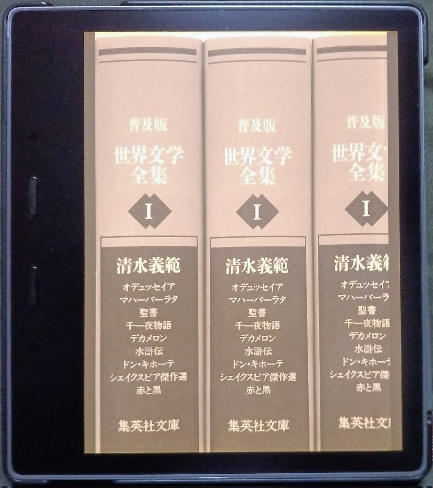 清水義範著『普及版　世界文学全集　第Ⅰ期』（2007年1月Kindle版、集英社e文庫）
※Kindle版に装幀クレジットなし

#装幀の「読書（する人）」