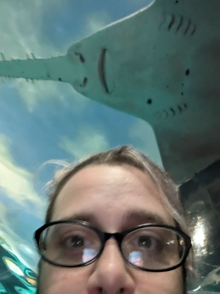 Picture of half my face with a weird shark swimming above me