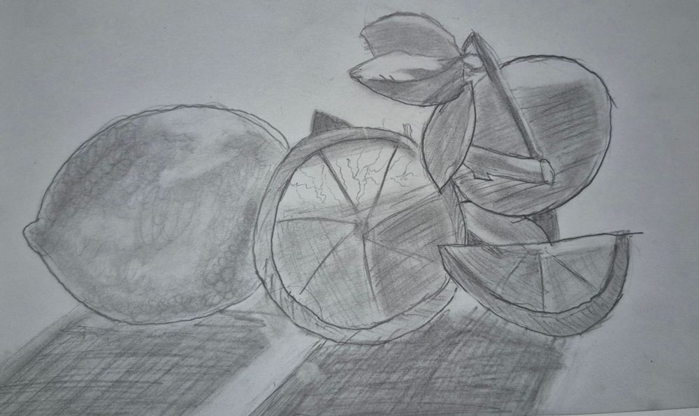 Pencil sketch of lemons. On the left there is a whole lemon. To the right of it there is a round slice of lemon stood on its side. To the right there is a wedge leaned against the slice of lemon. A twig with 3 leaves rests behind with another whole lemon in the back.