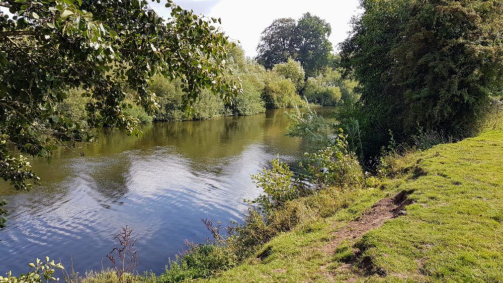 Chicken manure has turned river into ‘sewage dump’, Parliament told