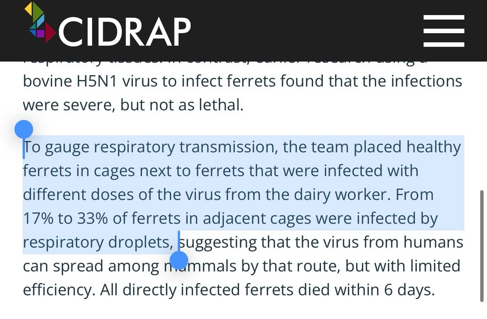 To gauge respiratory transmission, the team placed healthy ferrets in cages next to ferrets that were infected with different doses Sid the virus. 