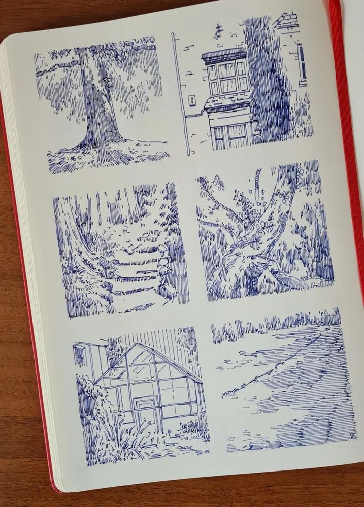 A photo of an open sketchbook with a collection of six square fountain pen ink drawings. The drawings are monochrome blue and created with a fountain pen line hatching shading technique 