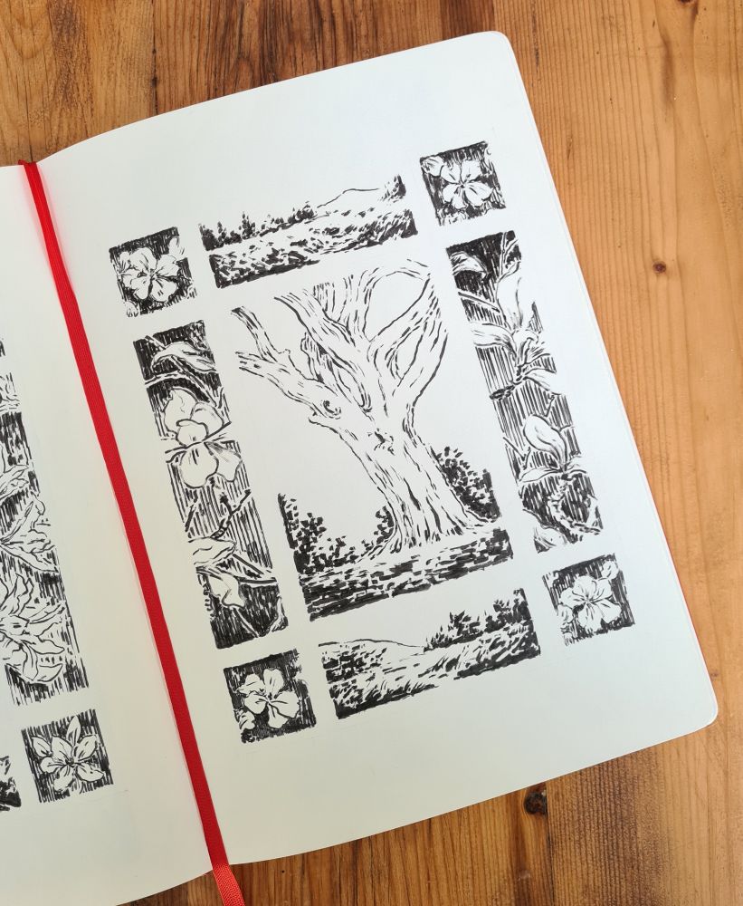 A photo of an open sketchbook with a decorative border brush pen ink drawing illustration 