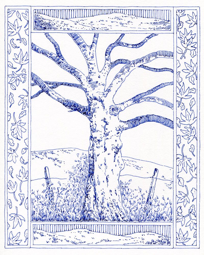 A hand-drawn decorative border illustration of an autumn tree on paper. The drawing is monochrome blue and created with a fountain pen line hatching shading technique 