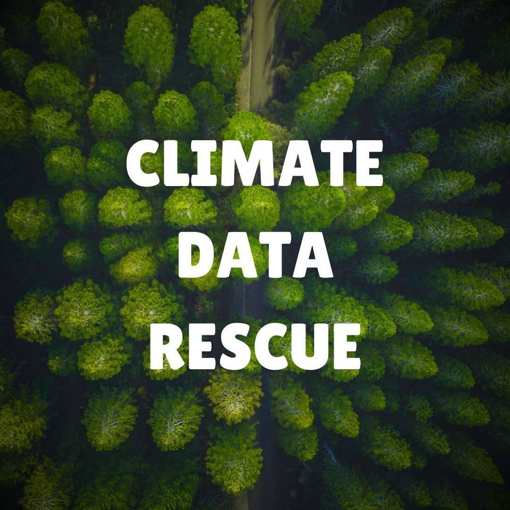 Top down photo of a forest of narrow green trees with a road weaving through, and text that reads Climate Data Rescue
