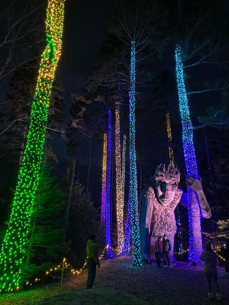 Roskva the troll with tall trees wrapped in lights