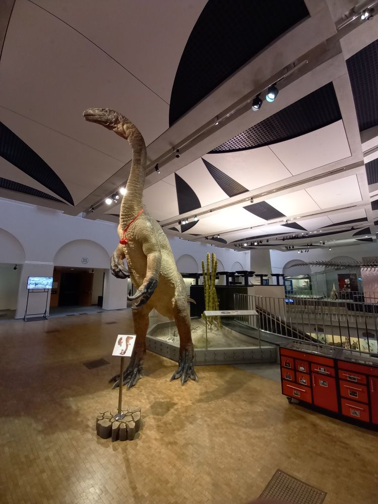Plateosaurus sculpture in the entrance hall of the NMZ sculpted by 10tons.dk