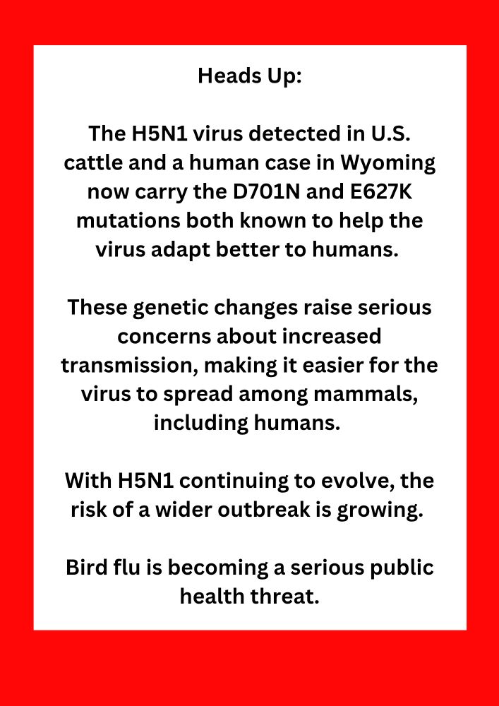 The H5N1 virus detected in US cattle & a human case in Wyoming now carry the D701N & E672K mutations both known to help the virus adapt better to humans.

These genetic changes raise serious concerns about increased transmission, making it easier for the virus to spread among mammals, including humans.

With H5N1 continuing to evolve, the risk of a wider outbreak is growing.

Bird flu is becoming a serious public health threat.