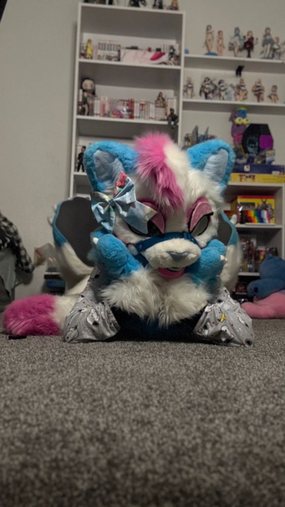 A pink, white and blue fursuiter posing by laying down with their head on their paws