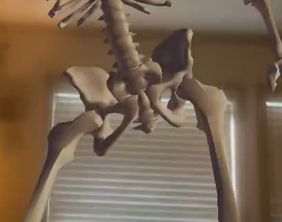 real photograph with what appears to be a superimposed 3D skeleton, but cropped to only see the pelvis, implying lewdness