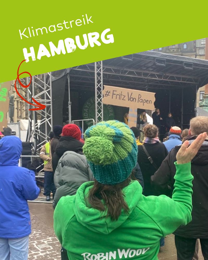 Klimastreik Hamburg mit Menschen und Robin Wood-Pulli vor Bühne