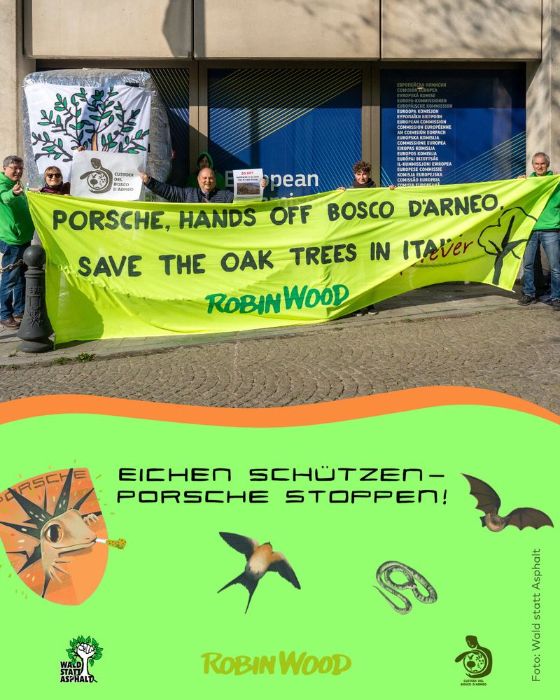 Foto vor EU-Parlament mit Transparent:  „Porsche: Hands off Bosco d‘Arneo forever!“