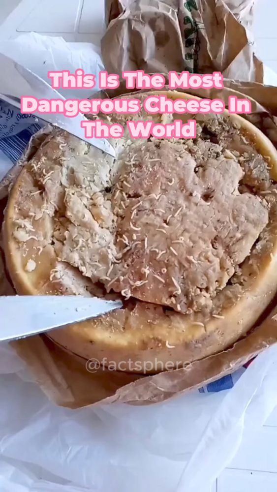 Would you try it? #fyp #facts #tictok #cheese #casumarzu #delicious...