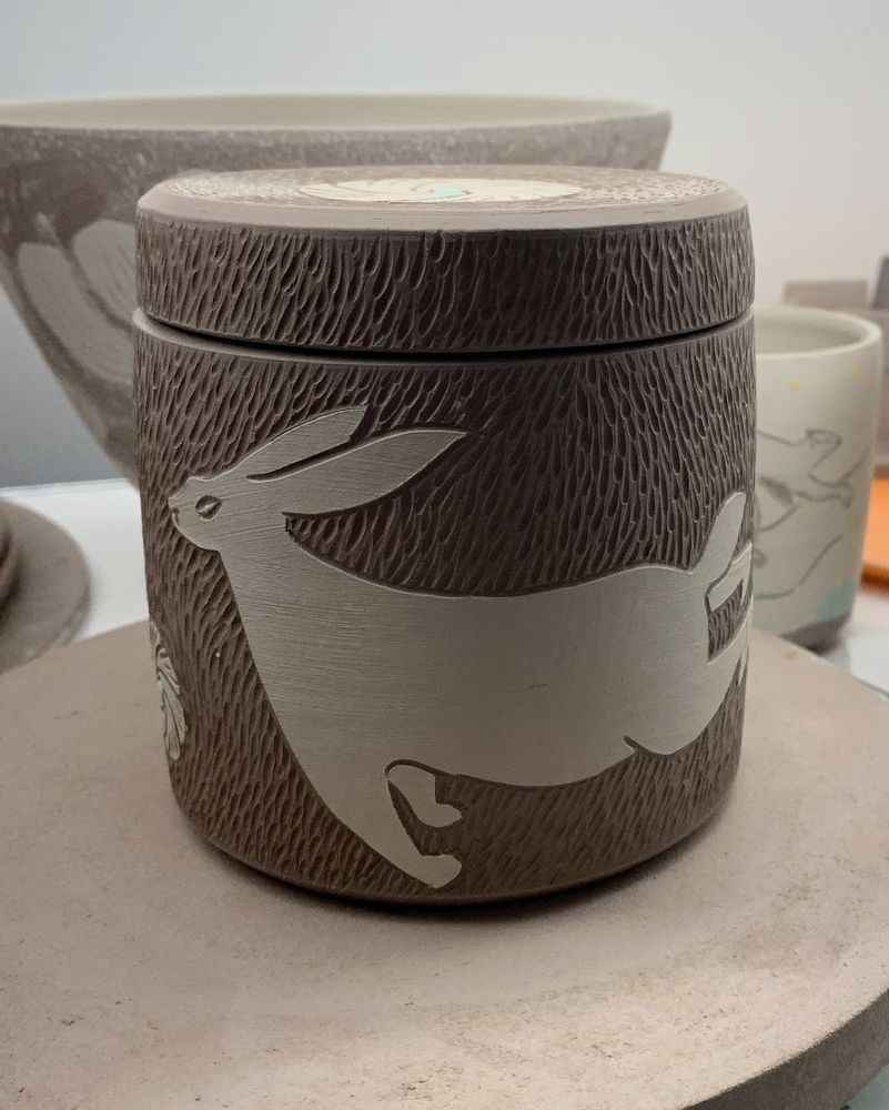 White hare on a reddish clay