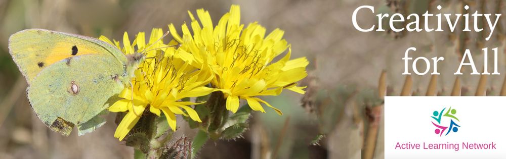 Creativity for all Active Learning Network