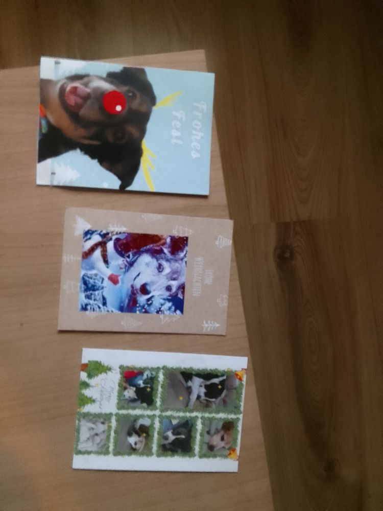 3 Weinachtspostkarten von Lola, Spocki und Lassie mit Trude