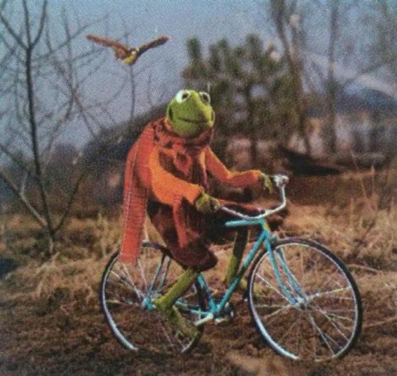 kermit the frog riding a bicycle in a forest. he’s wearing a orange sweater, brown pants and a reddish orange plaid scarf. 