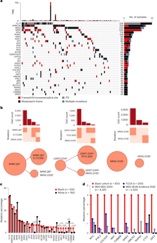 Multiomic profiling identifies predictors of survival in African American patients with acute myeloid leukemia - Nature Genetics