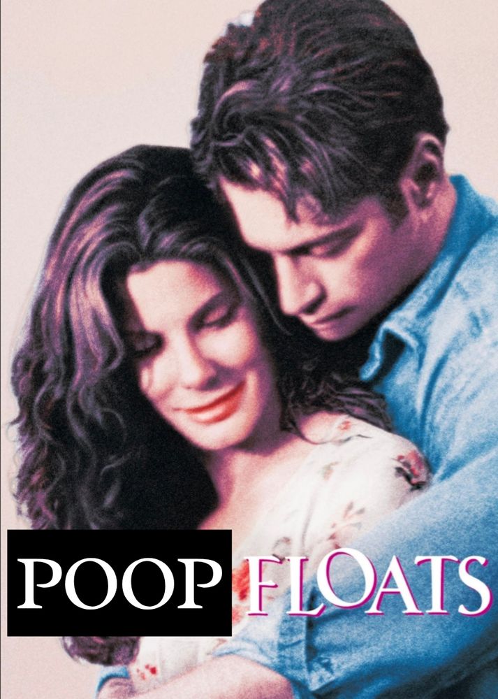 The movie poster from Hope Floats (1998) showing Harry Connick Jr embracing Sandra Bullock. I changed the text to read 