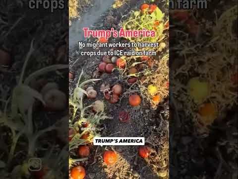 YouTube video by The Tony Michaels Podcast