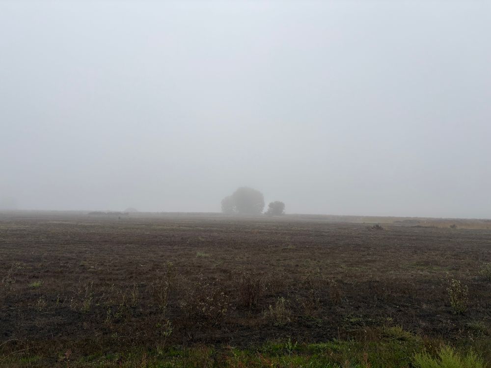 A very foggy morning, with trees barely visible in the distance.