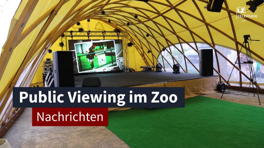 11. Juni 2024: Public Viewing im Zoo I LZ TV Nachrichten