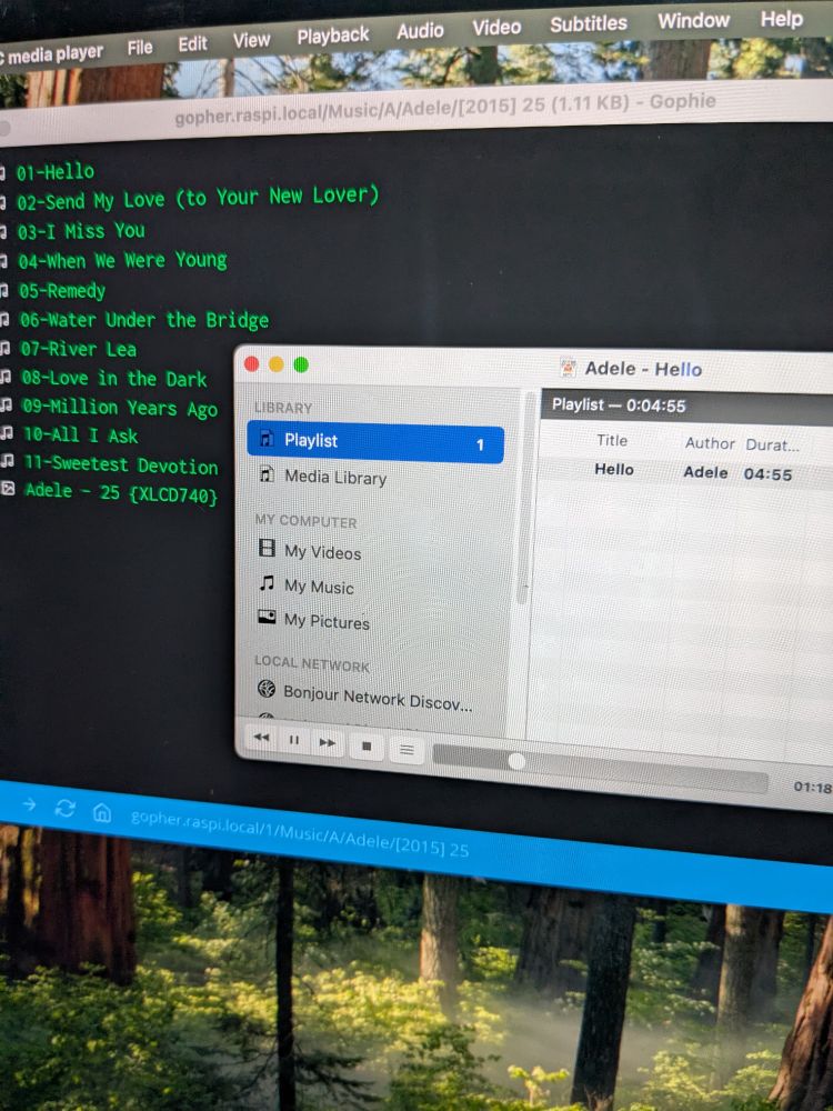 A display of a Gopher directory of Adele's '25' album and a VLC client playing the first track, 'Hello'