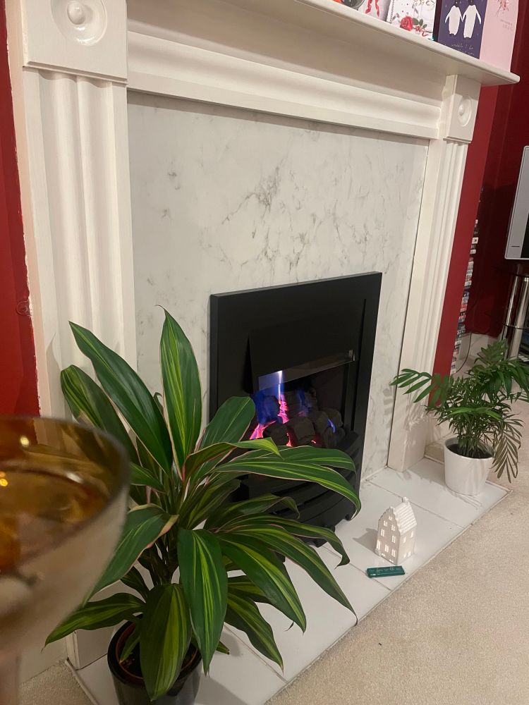 Edge of a glass, with a (gas) fire and houseplants in the background. 