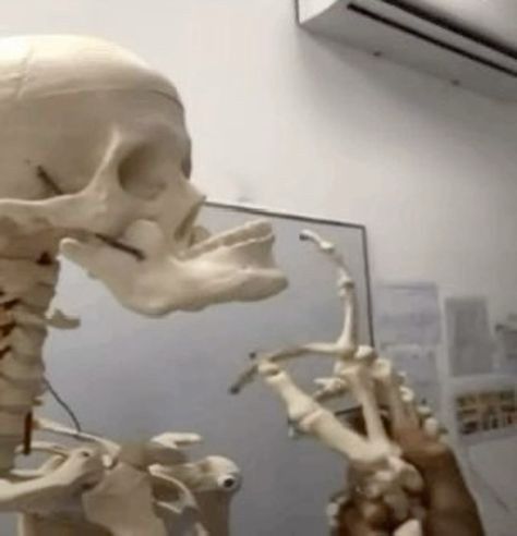 A plastic human skeleton model is in a thinking pose, with its right hand's bony fingers touching its jawline. The skeleton is in a classroom or medical office setting, positioned in front of a white wall with an air conditioning unit visible in the top background. 