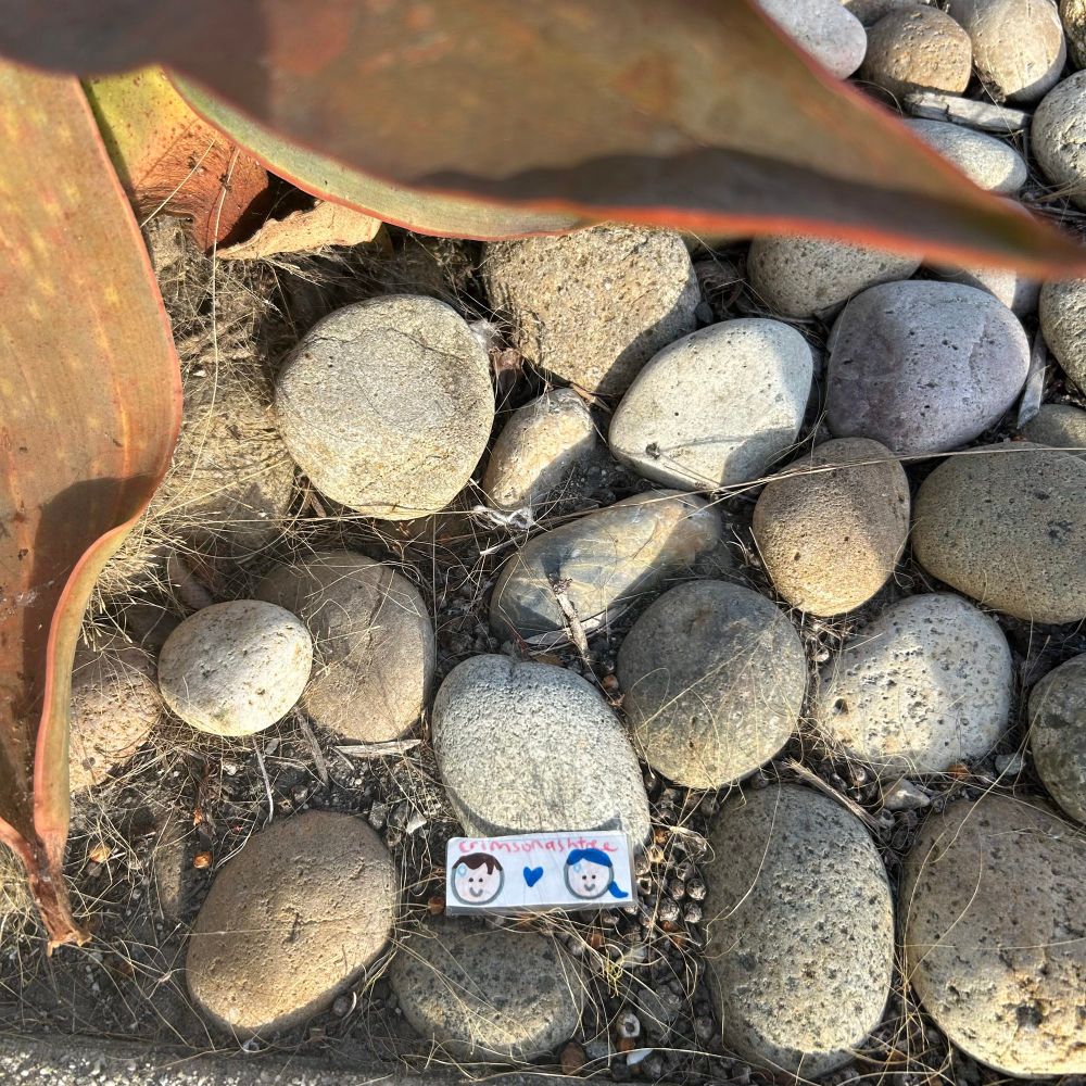 May the clouds and skies above bear witness to your hopes and dreams as you take the little steps that lead you closer and closer to your goals day by day. #GoodMammal #GoodAndroid #HappyHumpDay #positivity #kindness 