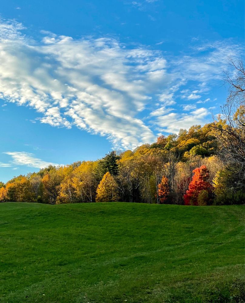 A fall scene with one brightly colored orange tree while the sky is blue with large white cloud.
