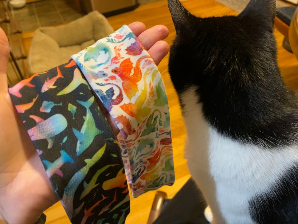 Somercon haul! Moonie, the tuxedo cat looking away from the camera, is approving of two headbands. The left is black with rainbow sharks, and the right is white with rainbow dragons 