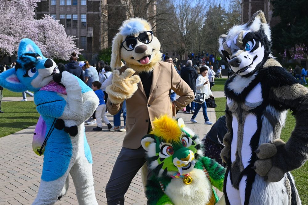 A group of four fursuiters standing in various poses