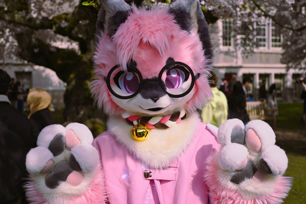 A partial fursuiter with a pink fursuit head and pink paws