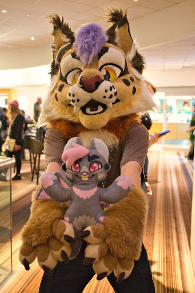 A feline fursuiter holding a plush toy